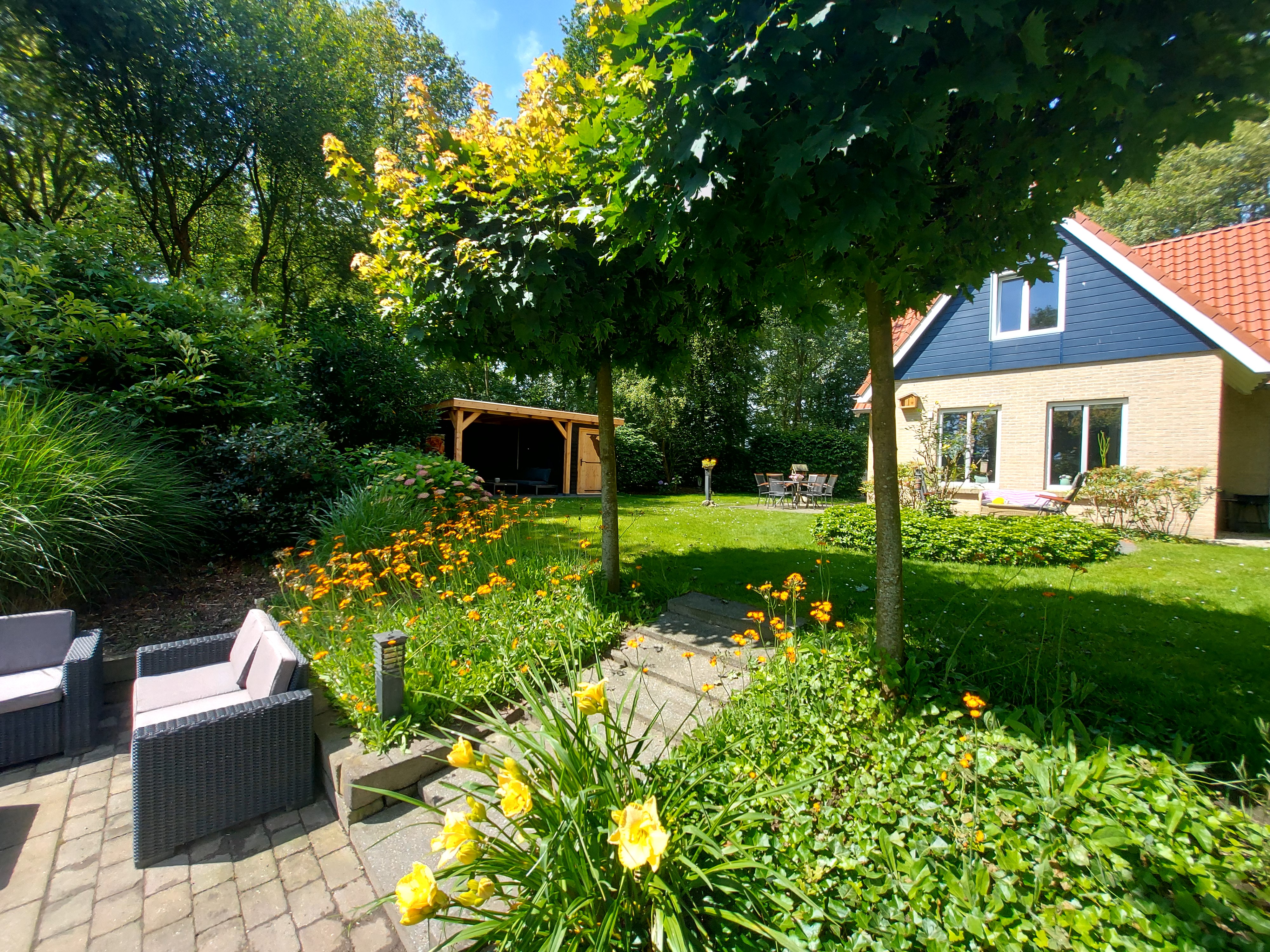 2024 Tuin met overkapping.jpg
